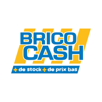 Logo de l'enseigne Brico Cash